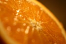 Orange-tastic!