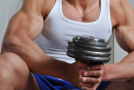 Shredding Fat and Building Muscles