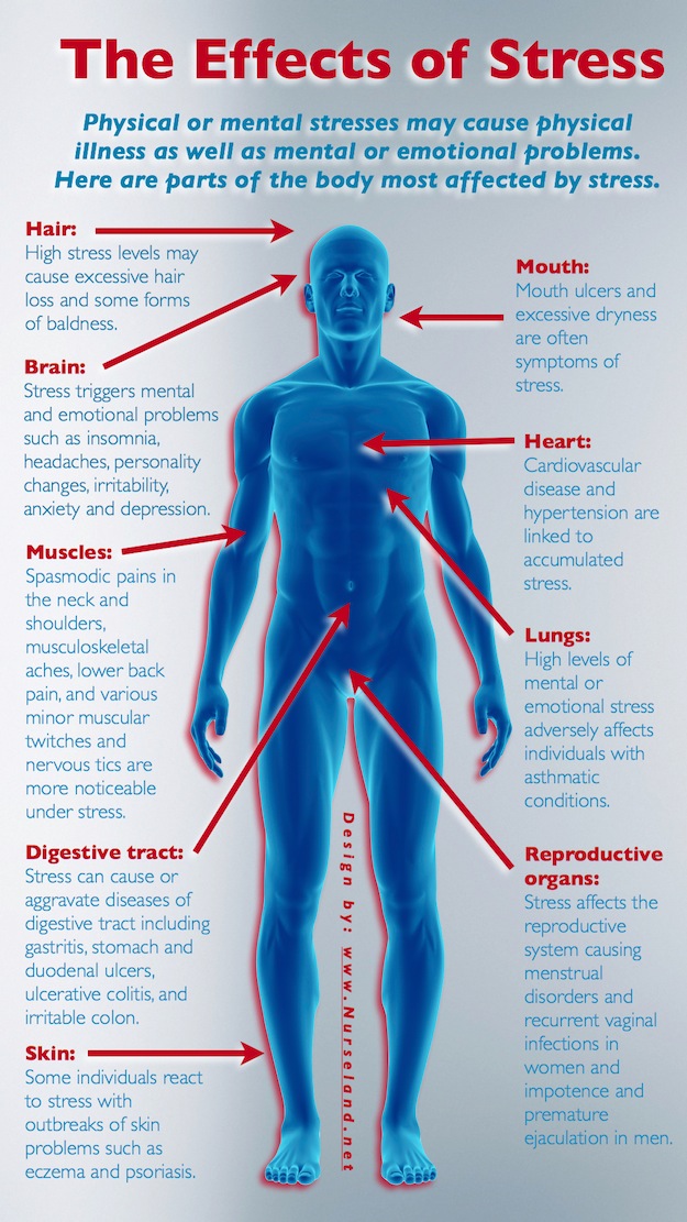 TheEffectsofStressMapWeb.jpeg