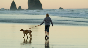 Could walking the dog do more for your health than you realised?