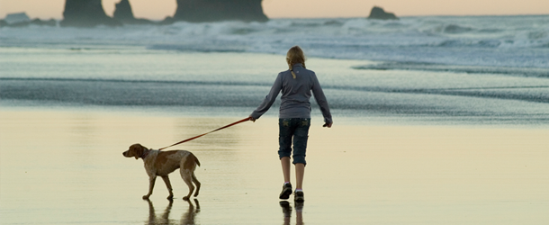 Could walking the dog do more for your health than you realised?