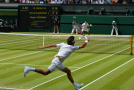 How to Follow in the Footsteps of Wimbledon’s Tennis Stars